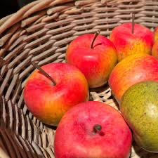 Apple-a-Day Initiative